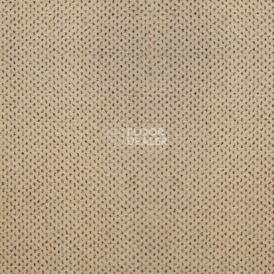 Ковролин Зартекс Eternity 142 Бежевый фото 1 | FLOORDEALER